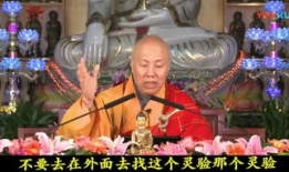 大安法师视频,深入解读佛教智慧与人生哲理